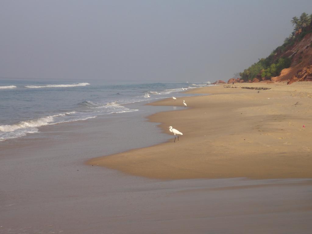 The Oceano Otel Varkala Dış mekan fotoğraf